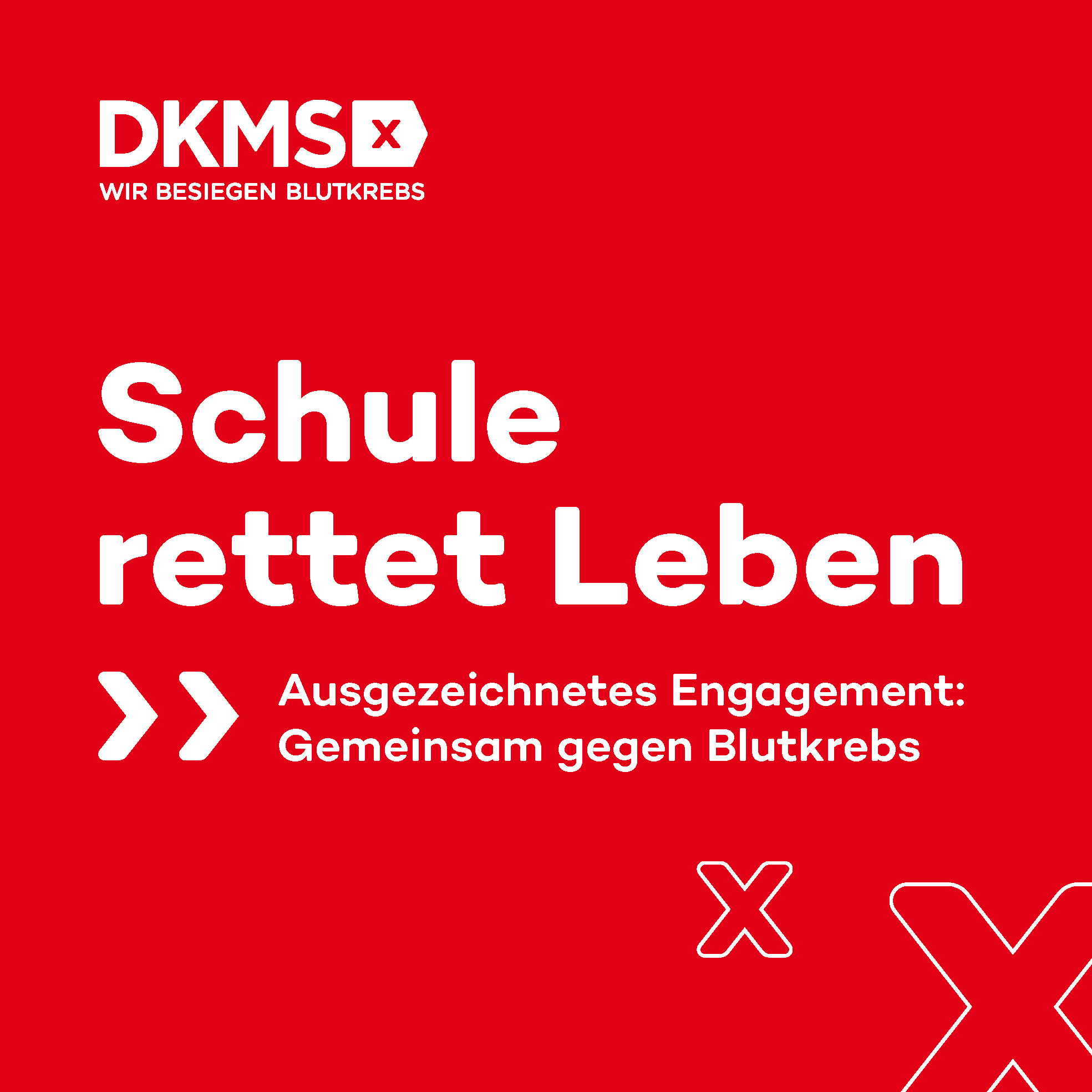 ANSICHT_241007_DKMS_Schul_Siegel_250x250mm_RZ_FW